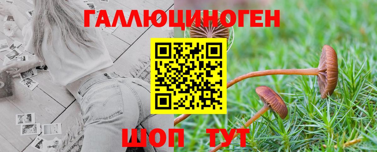 Псилоцибиновые грибы ЛСД Брянск